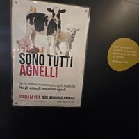  at Ops Cucina Mediterranea in Rome