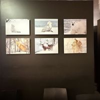 Wall inside  at Ops Cucina Mediterranea in Rome