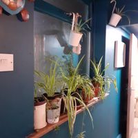  at Mocha Turtle in Bournemouth