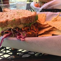 crunchy veggie sandwich at Sprouts Natural Foods Cafe in South Lake Tahoe