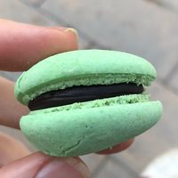 Peppermint macaron   at VEGO Cafe & Confectionery JLT in Dubai