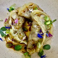 Tofu gyozas, amaizing!! at Sarumino in Mexico City