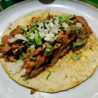 Birria taco at Sarumino in Mexico City
