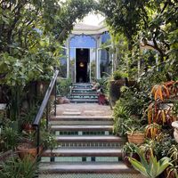   at Kloof Street House in Cape Town