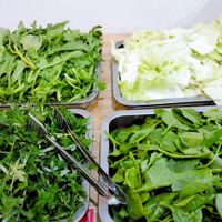 Hotpotline at Tue Minh Restaurant in Hanoi