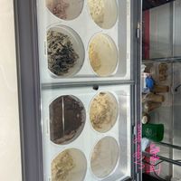   at Tru Vegan Creamery in Tampa