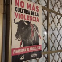  at ChapiYork in Bogota