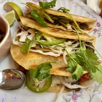 Mushroom tacos (lacking substance )  at Bar Sofia in Halifax