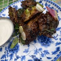 Bravas Brussels sprouts with cashew crema (in a side plate, the actual portion size was much bigger!)  at Bar Sofia in Halifax