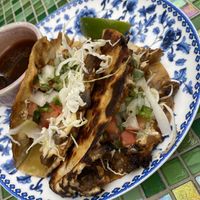 Mushroom birria tacos  at Bar Sofia in Halifax
