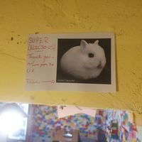 Left a note :) at Hotpot Tteokbokki Deokmiga Ewha Womans University - 전골떡볶이 덕미가 이대본점 in Seoul