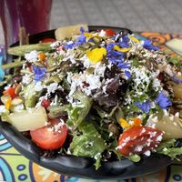 La salade Sasav est exquise au goût et magnifique pour l’œil!   at Tula in Montreal
