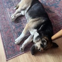   at Stricha in Tbilisi