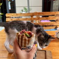 Falafel wrap. at Stricha in Tbilisi