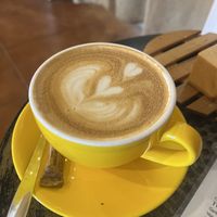   at Gato Legal Coffee Roastery in Ponta Do Pargo