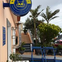 Gato Legal Madeira at Gato Legal Coffee Roastery in Ponta Do Pargo