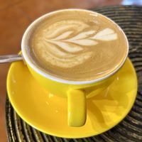 Hafer FlatWhite  at Gato Legal Coffee Roastery in Ponta Do Pargo