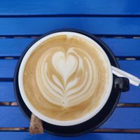  at Gato Legal Coffee Roastery in Ponta Do Pargo