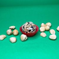  at BRCACAU COFFEE & MORE in Leiria