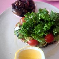 Avo toast with extra mushrooms at Kynd Community - Canggu in Canggu