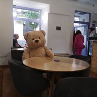 Teddy Bear 🐻 at Lilo Brunch in Madrid