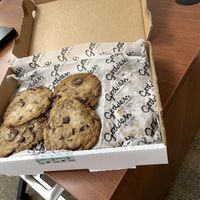 A friend bought me a boxed dozen vegan chocolate chip cookies   at Goddess and the Baker in Brookfield