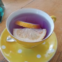 Butterfly pea tea with lavender at Elevenses in Cessnock