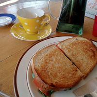 Felafel toastie at Elevenses in Cessnock