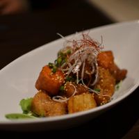 Karaage (deep fried 'chicken') and root vegetables at Iki Laboratory in Sapporo