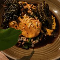 Wirsingrouladen at 1821 Tübingen in Tubingen