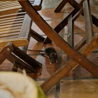  at Muro Organic Vegan Restaurant in Nha Trang