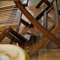  at Muro Organic Vegan Restaurant in Nha Trang