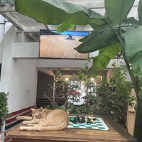   at Muro Organic Vegan Restaurant in Nha Trang