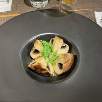   at MUSHROOM TOKYO in Tokyo