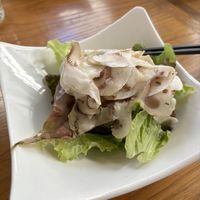   at MUSHROOM TOKYO in Tokyo