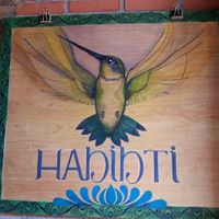 💜 at Habibti Falafel in Guanajuato