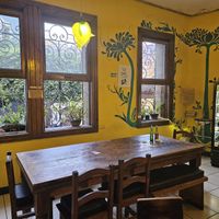  at Habibti Falafel in Guanajuato