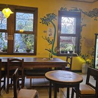  at Habibti Falafel in Guanajuato