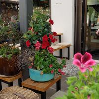  at NOUMI Mitte in Berlin