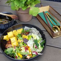 Black sesame noodles with curry sauce, seitan meat and tofu cubes at NOUMI Mitte in Berlin