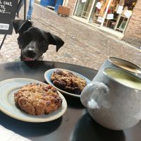 Outdoor tables at Sérès  in Albi