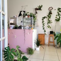  at Brewjeria  in Zacatecas