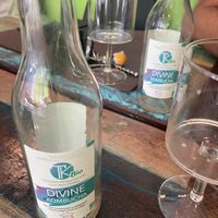 Heerlijke kombucha!  at NUABOL in Saumur