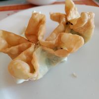 Vegan cream cheese wontons! at Garden Wok in Tarzana