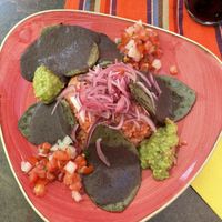 Kaktus  at Don Gallo - Comida Mexicana in Rothenburg Ob Der Tauber