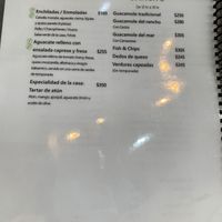   at Green Bag Coffee in Merida