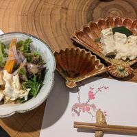 Salad and yuba at Koushi 紅絲 in Nara