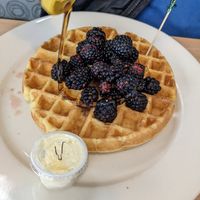 Vegan waffle with blueberries at The Original Steve's Diner - Henrietta Plaza in Rochester