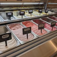 selection of vegan flavours at [ais] - Eismanufaktur in Cologne