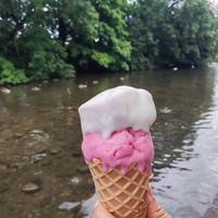 Cherry and lavender and lemon at Lick in Bakewell